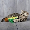Picture of KONG Wrangler Avocado Cat Toy | Catnip & Play